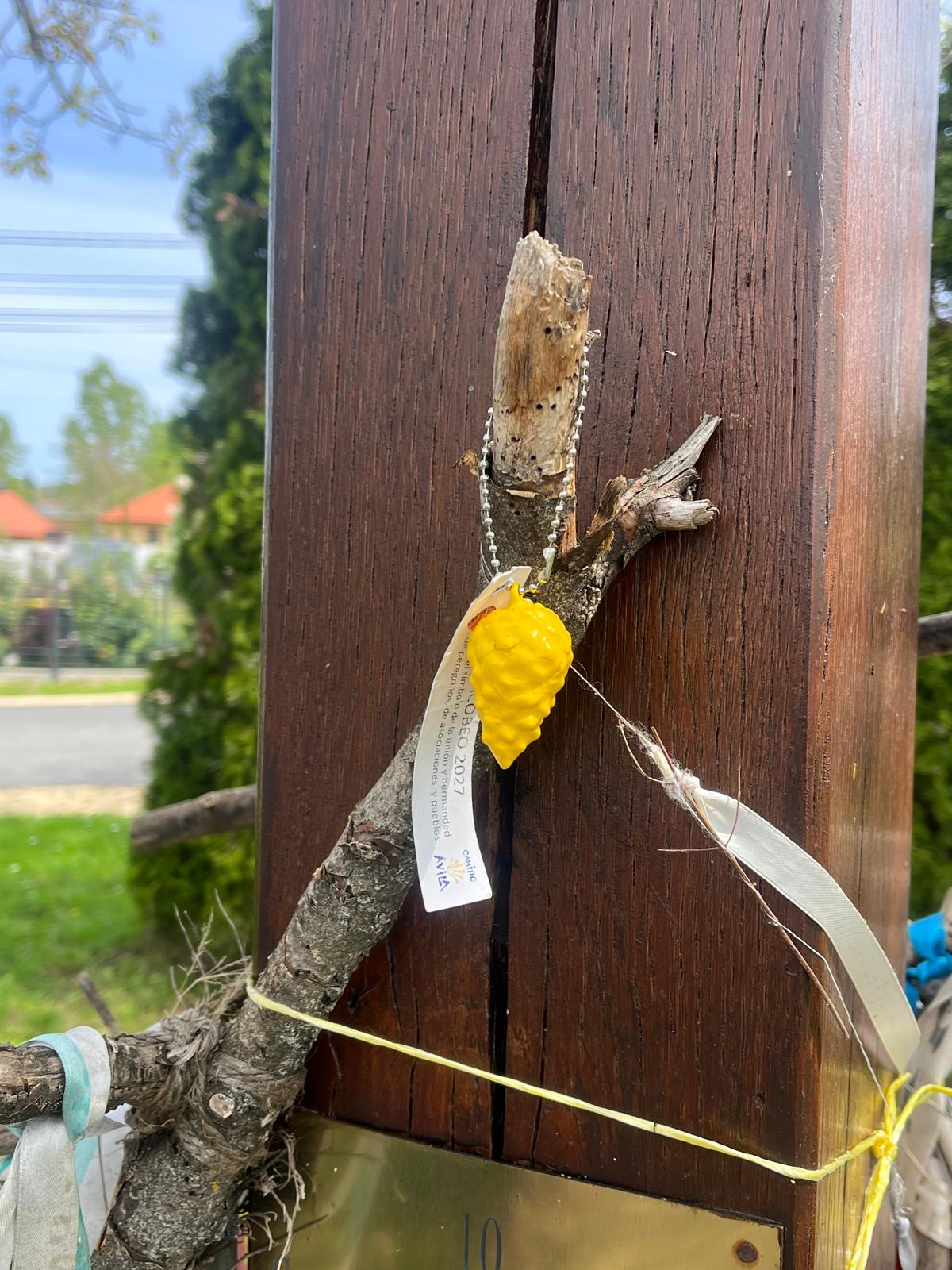 Camino Benedictus Hungría
